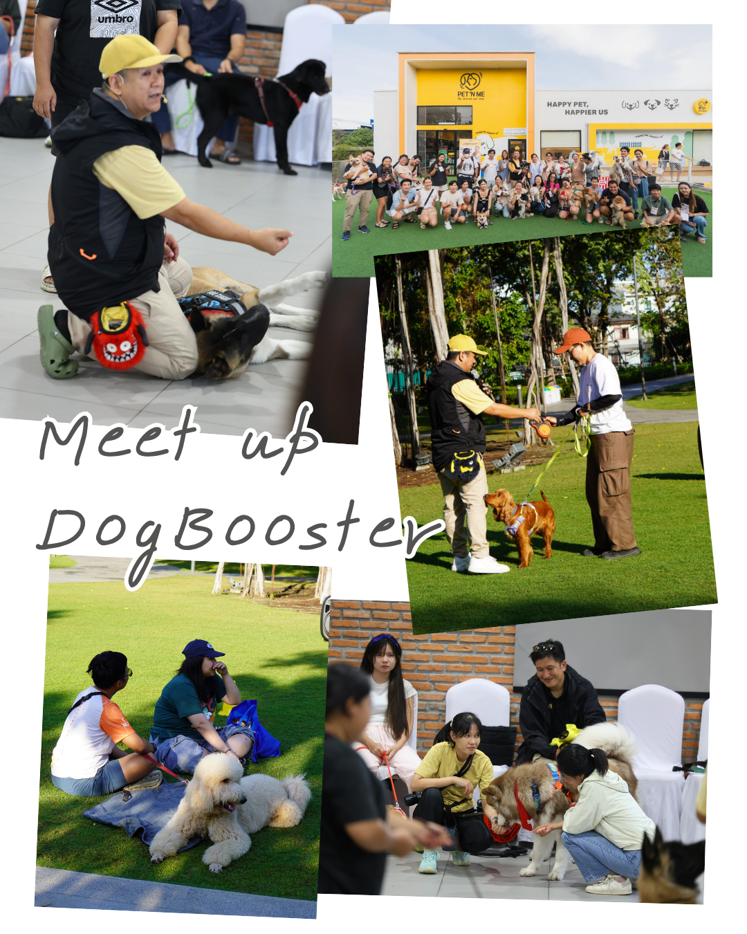 ผลงาน DogBooster